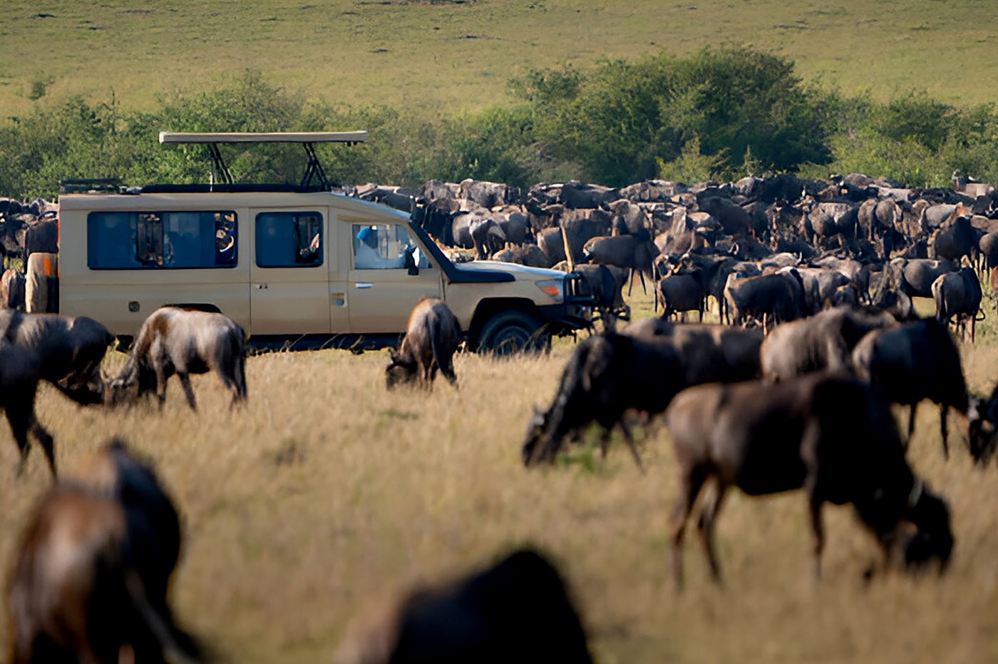 Tourists in safari jeep watching the Great Migration of wildebeest in the Serengeti-Masai Mara ecosystem – luxury African safari experience  with Pizet Safaris