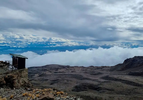 pizet-safaris-a-view-of-kilimanjaro