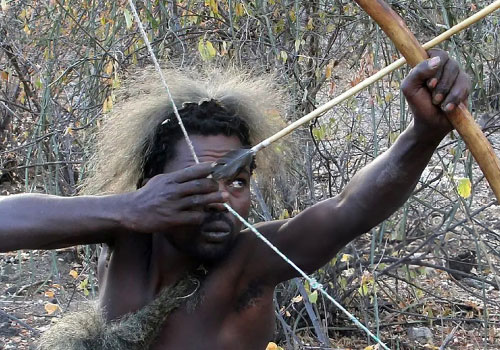 pizet-safaris-eyes-on-price