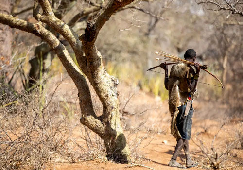 pizet-safaris-hadzabe-hunter-bow-arrow