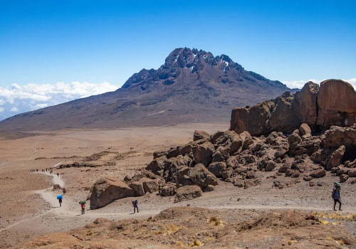 pizet-safaris-kili-rongai-trek