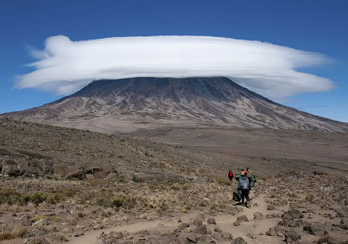 pizet-safaris-kilimanjaro-view-rongai-route