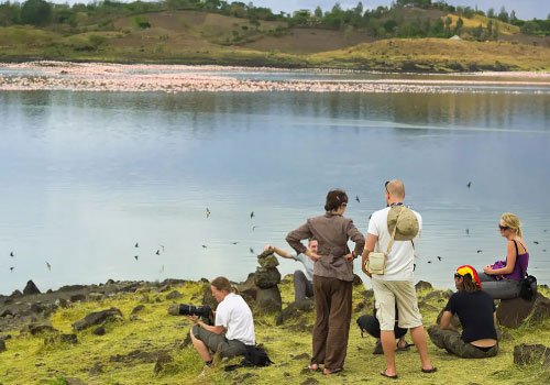 pizet-safaris-lake-manyara