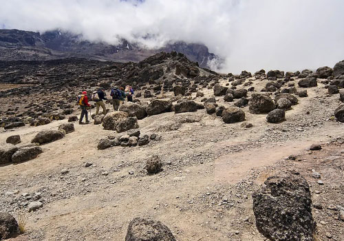 pizet-safaris-lemosho-route-trek