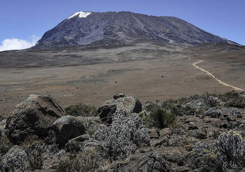 pizet-safaris-marangu-route