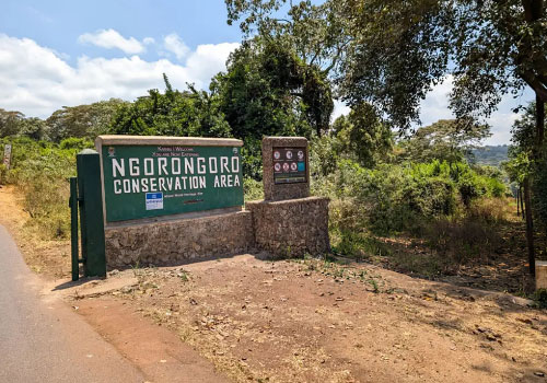 pizet-safaris-ngorongoro-ca