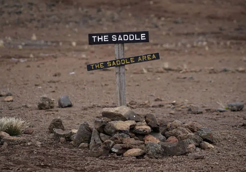 pizet-safaris-saddle-area