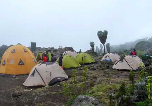 pizet-safaris-tent-set-up
