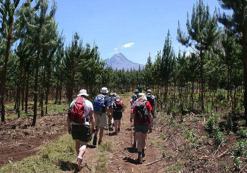pizet-safaris-trek-commences