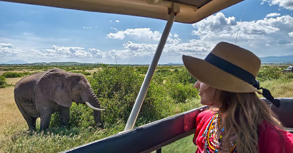 Lady enjoying an elephant view in Tarangire with Pizet Safaris